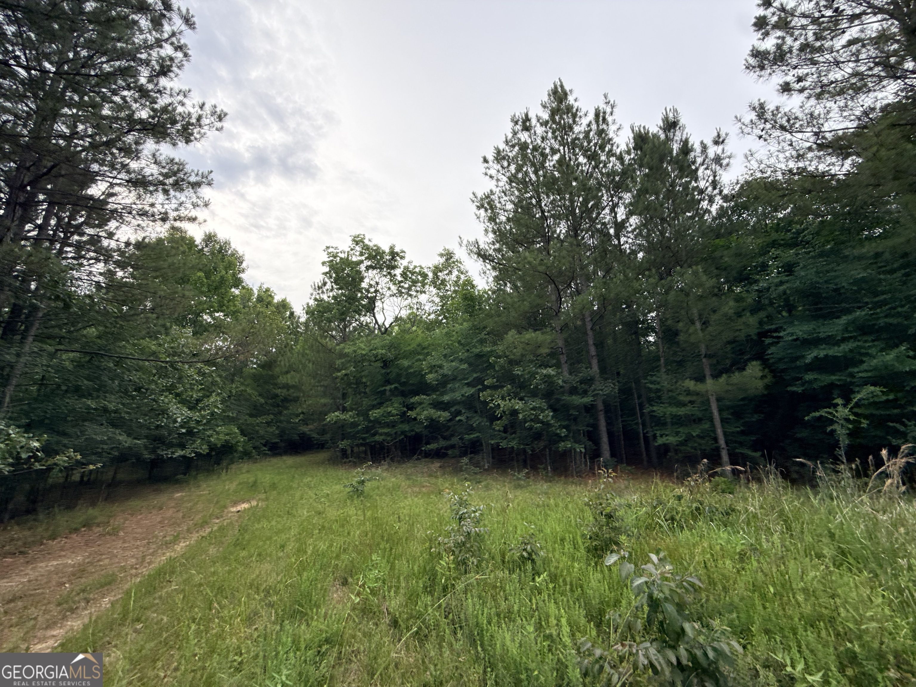 2 Bethesda Church Road Property Photo 10