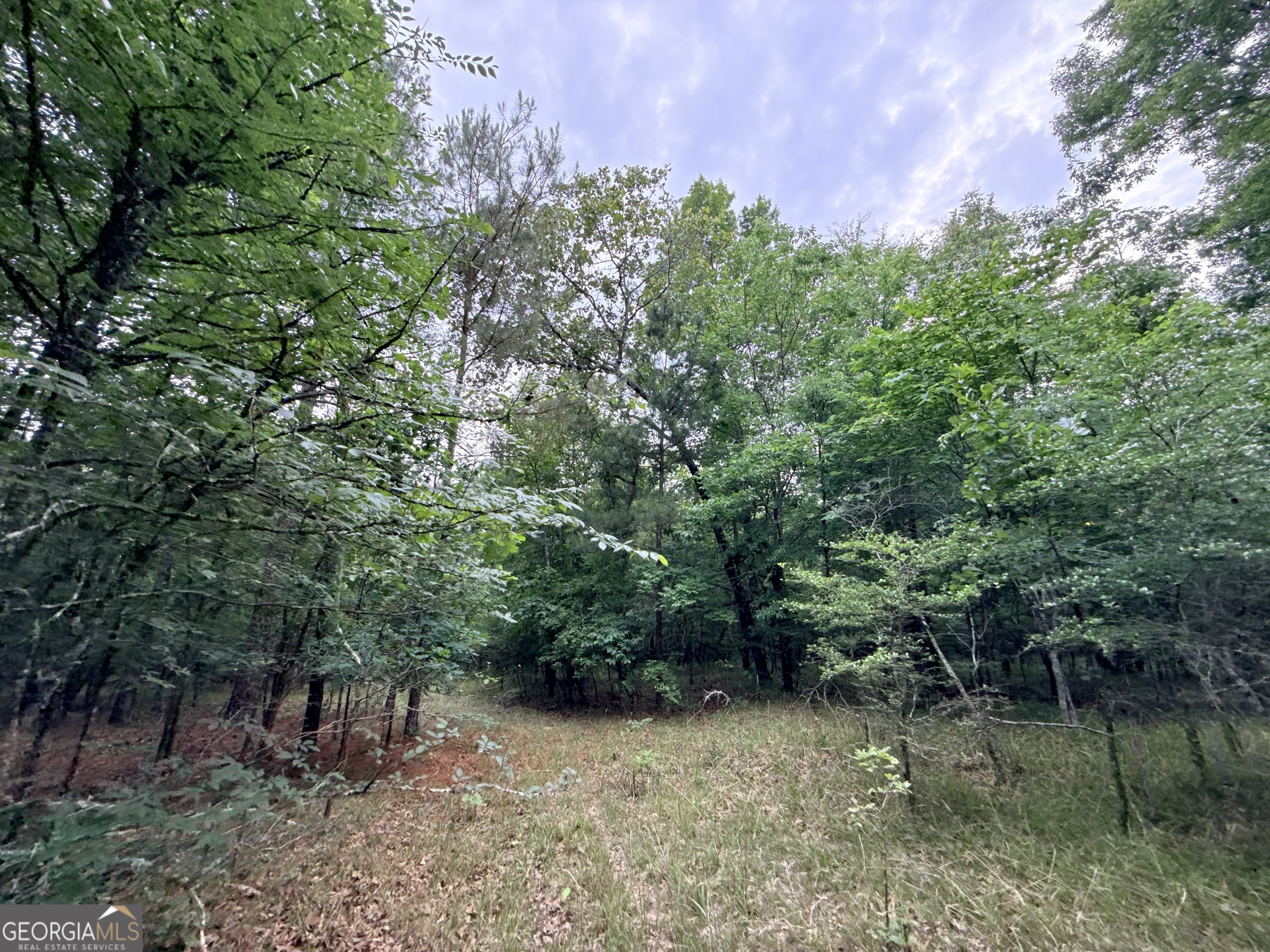 2 Bethesda Church Road Property Photo 12