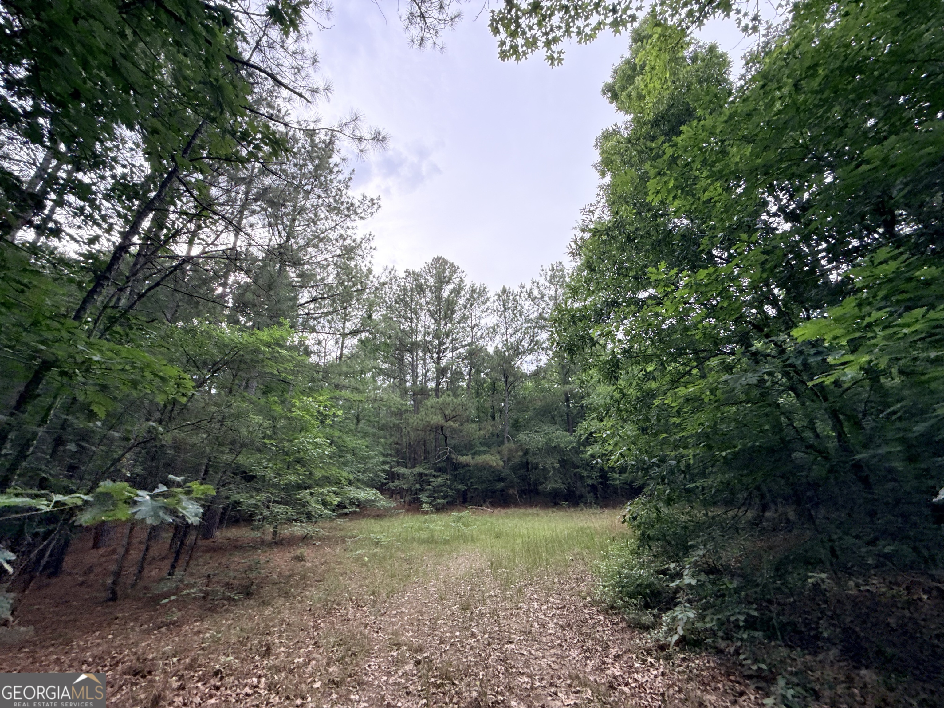 2 Bethesda Church Road Property Photo 17