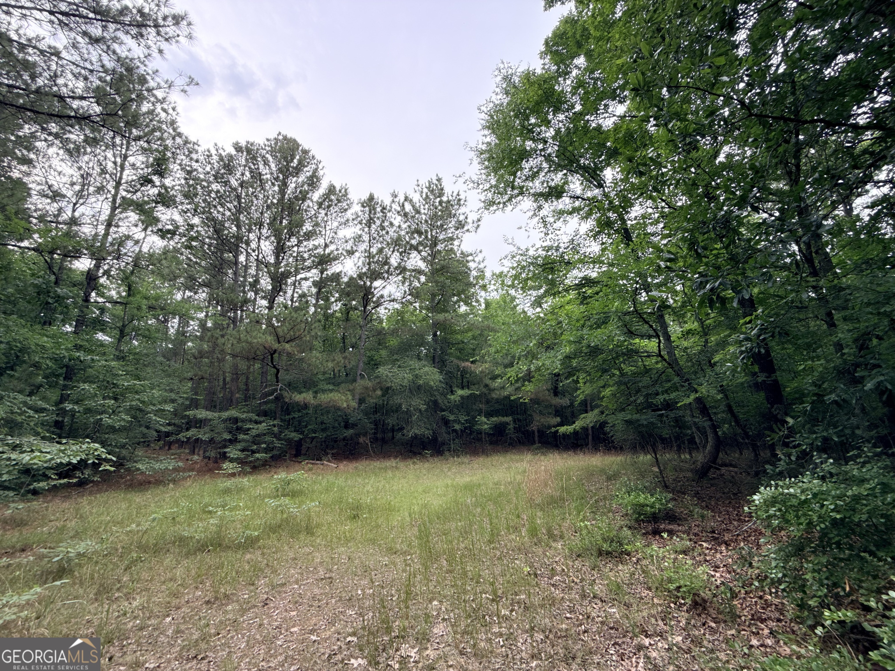 2 Bethesda Church Road Property Photo 22