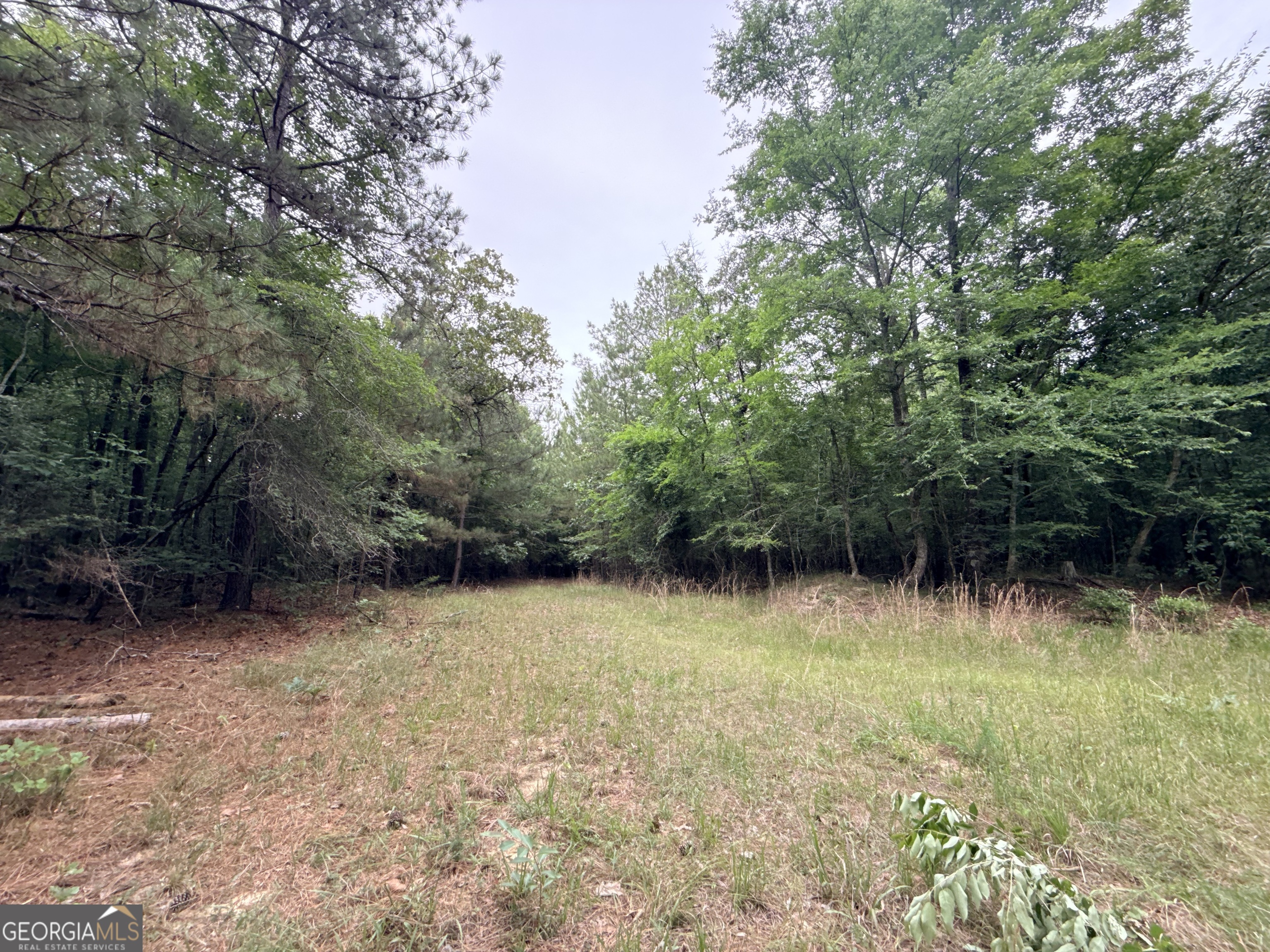 2 Bethesda Church Road Property Photo 24