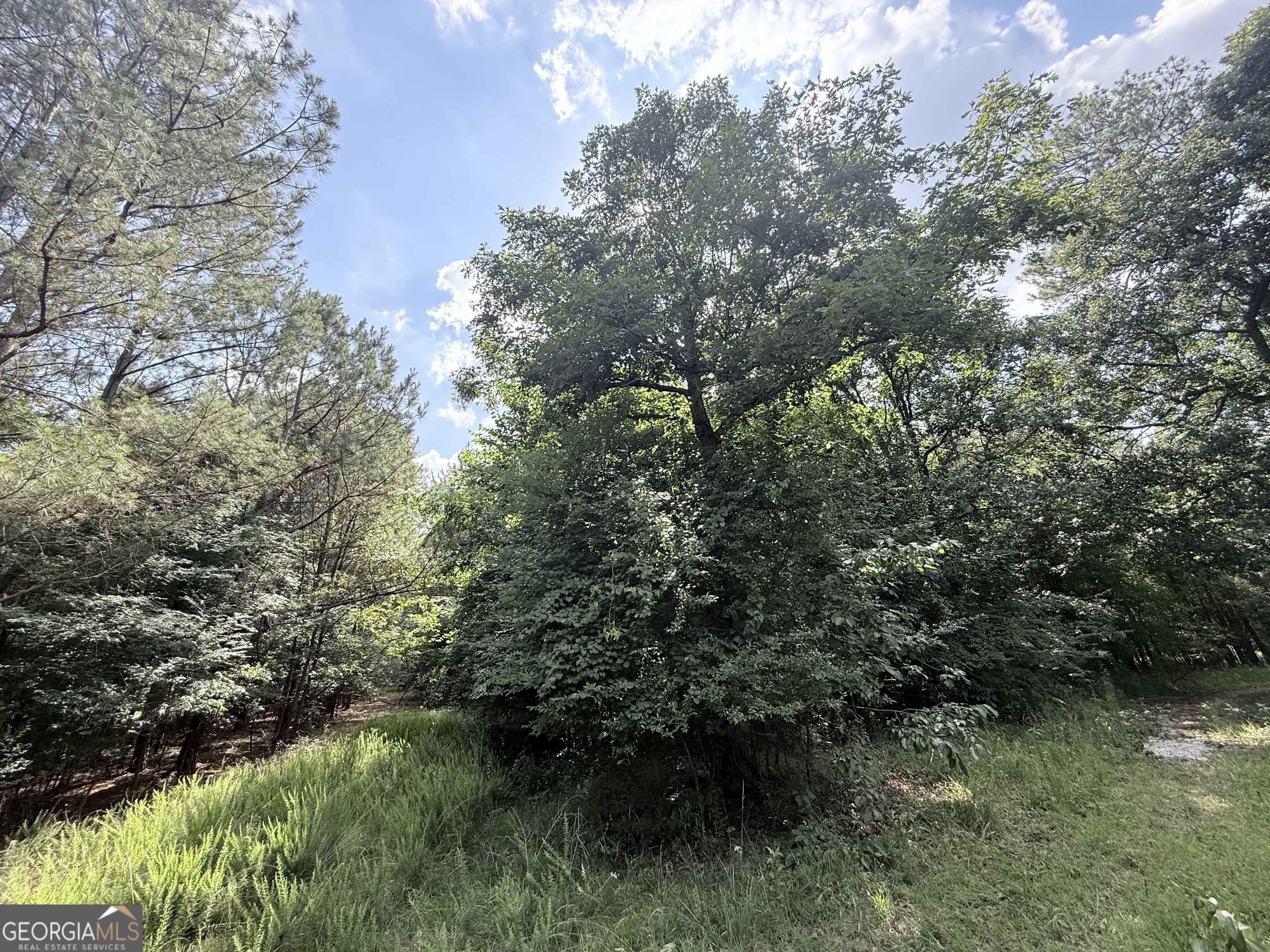 2 Bethesda Church Road Property Photo 27