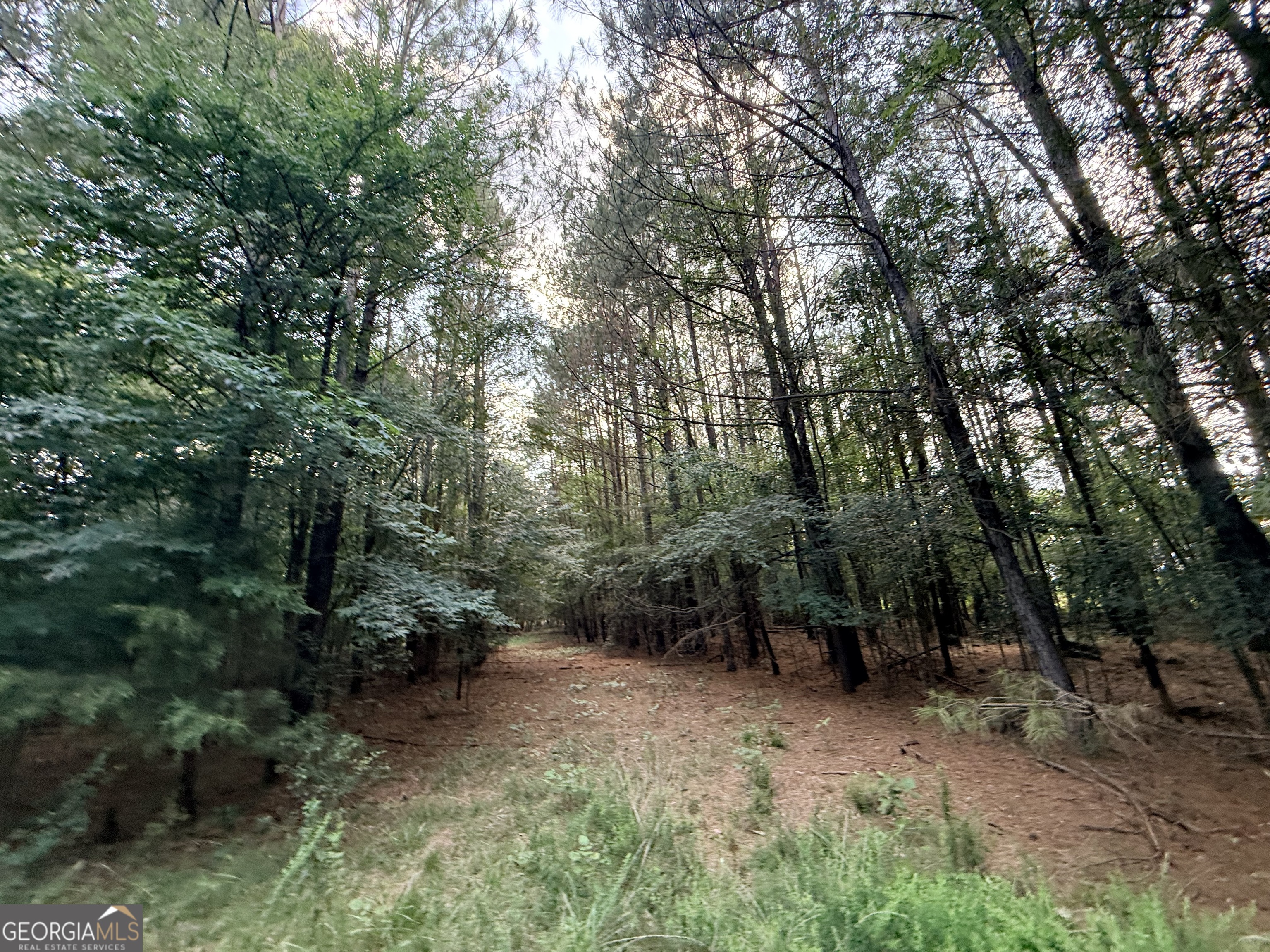 2 Bethesda Church Road Property Photo 55
