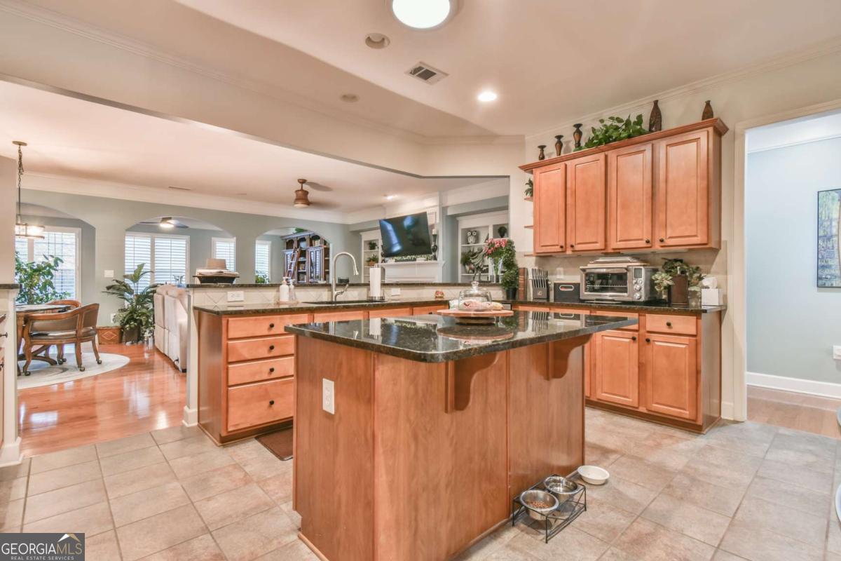 6417 Hickory Springs Circle Property Photo 15