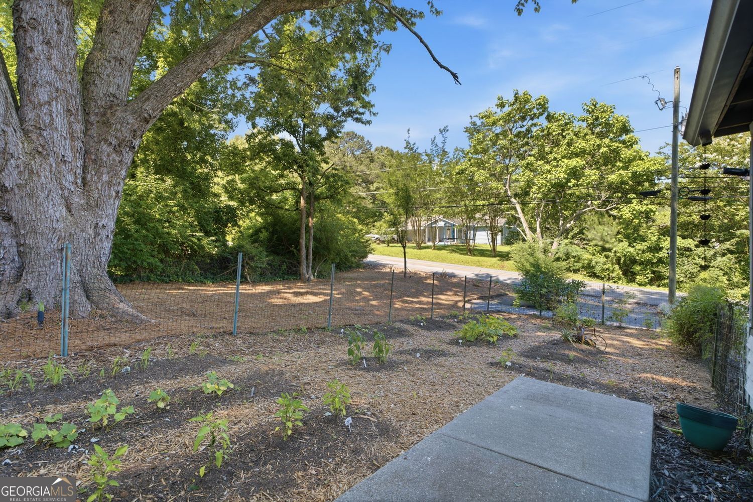 263 Elizabeth Street Property Photo 24
