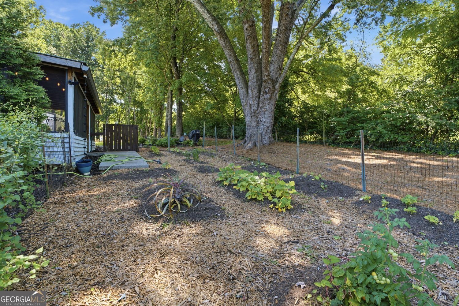 263 Elizabeth Street Property Photo 25