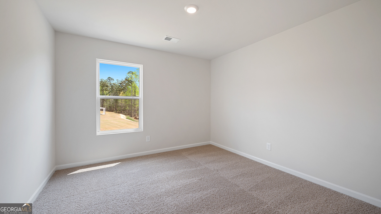 550 Great Salt Lane Property Photo 15