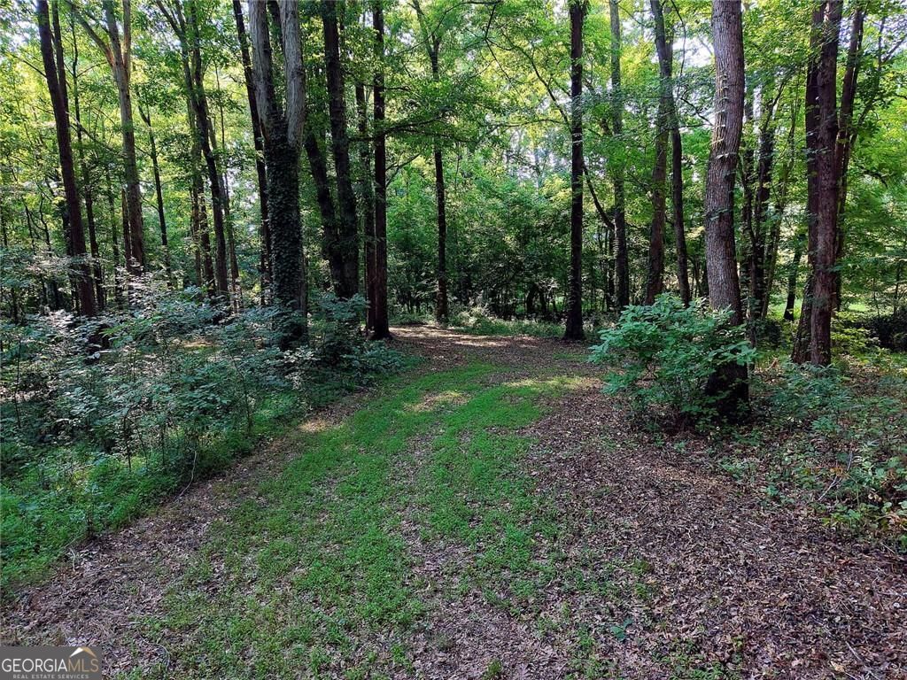 213 Blackstock Road Property Photo 24