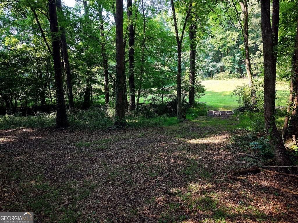 213 Blackstock Road Property Photo 26