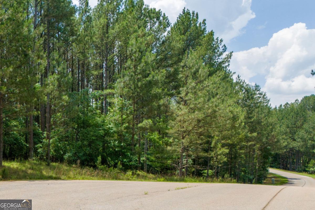 1441 Riverwalk Road Property Photo 6