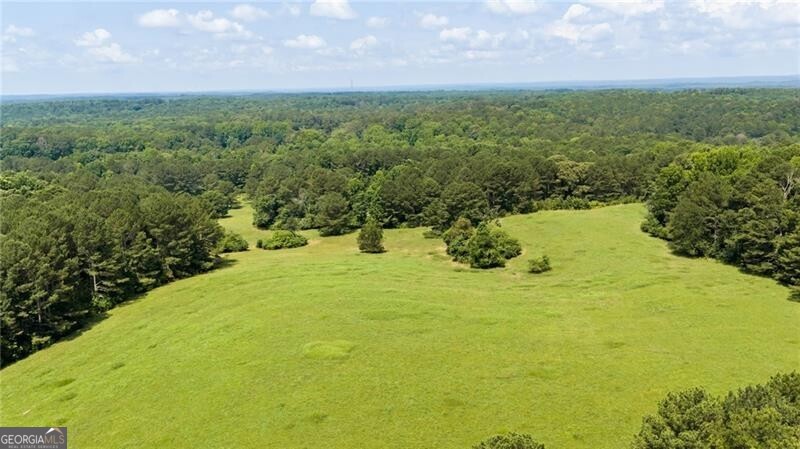 10180 Capps Ferry Road Property Photo 67