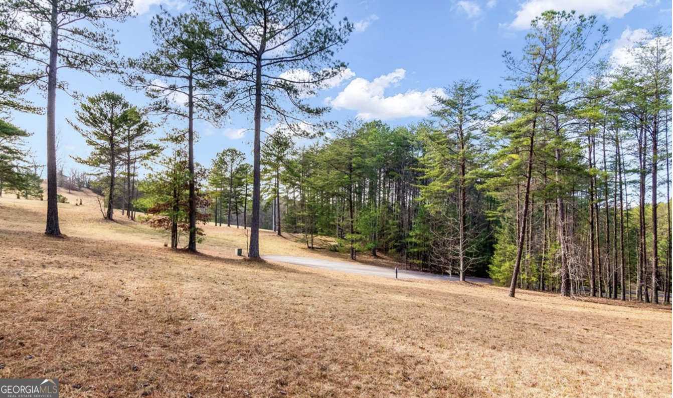 Lot 87 Creek Hollow Lane Property Photo 1