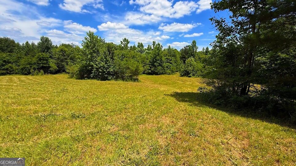 0 Nix Road Property Photo 5