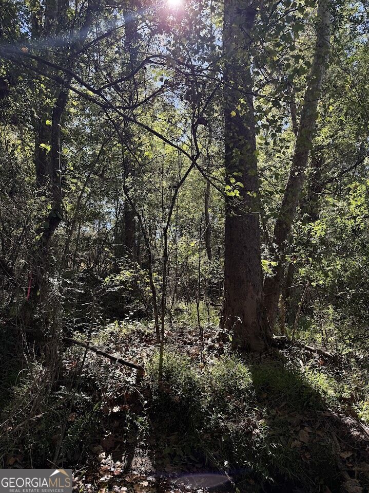 0 Nix Road Property Photo 12