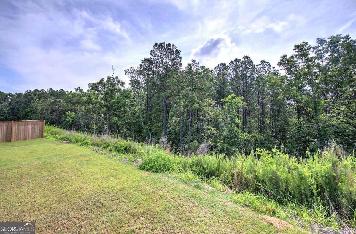 72 Grove Springs Court Property Photo 44