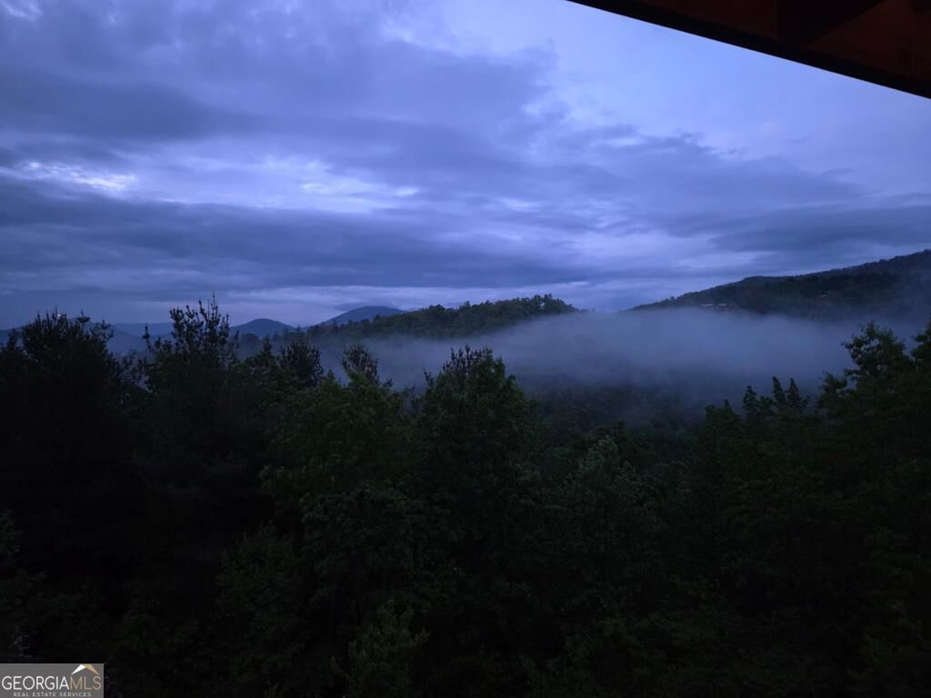 115 Mountain High Drive Property Photo 51