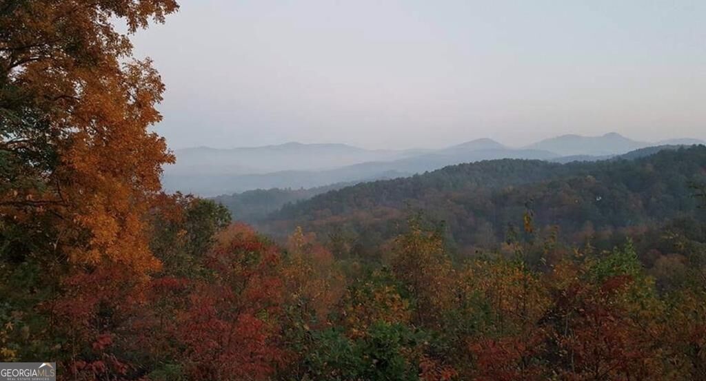 115 Mountain High Drive Property Photo 53