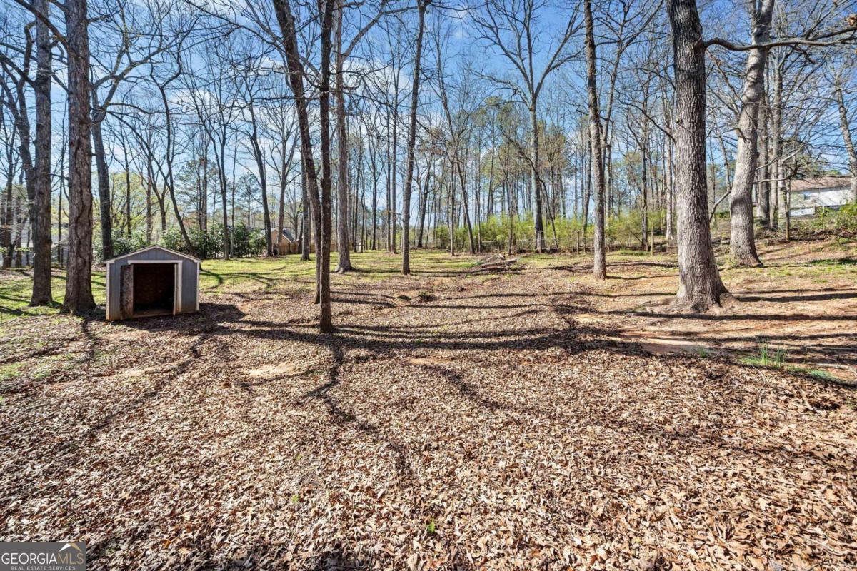 228 Hawkins Farm Circle Property Photo 40