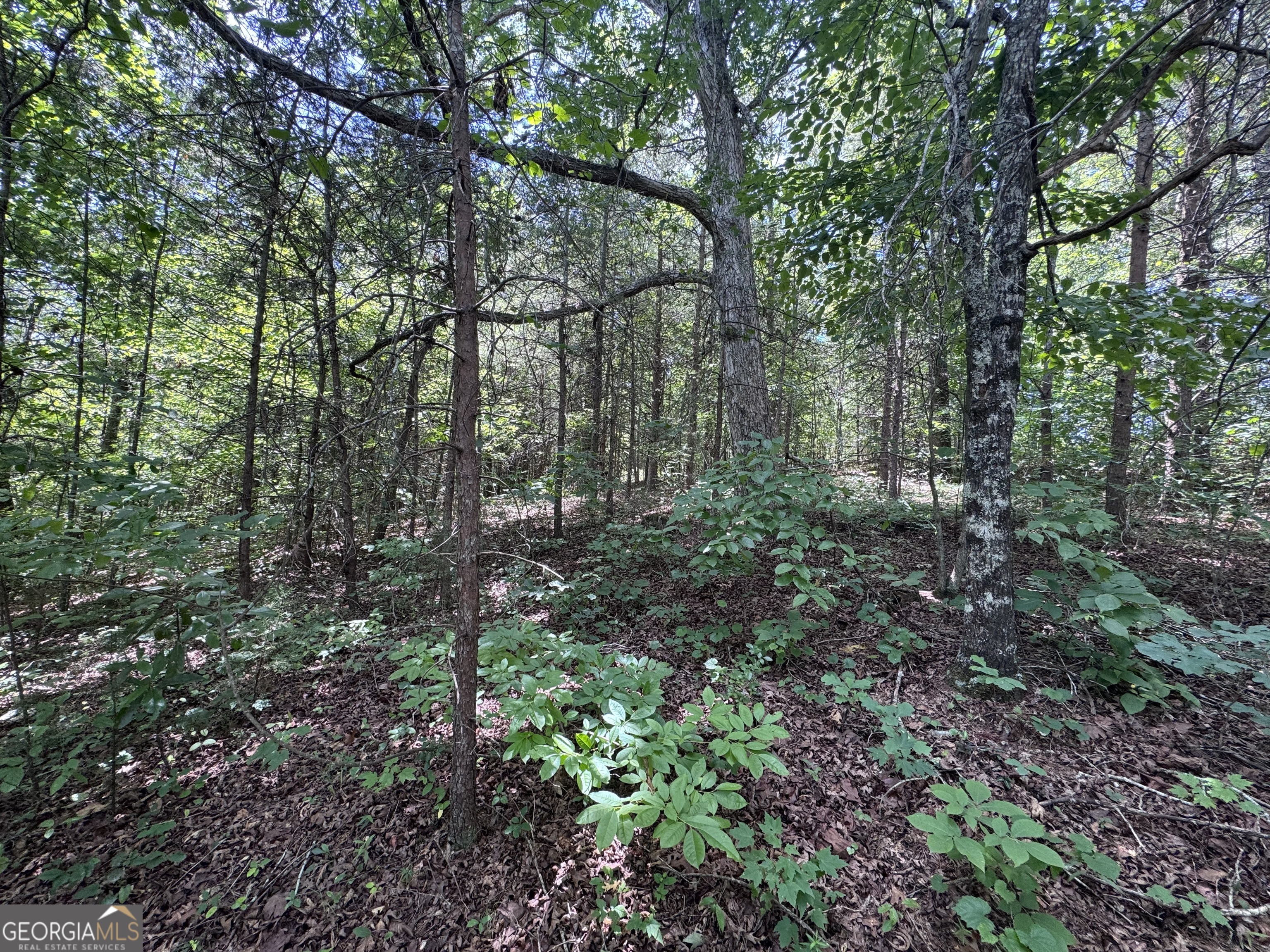 0 Sunshine Ridge Property Photo 1