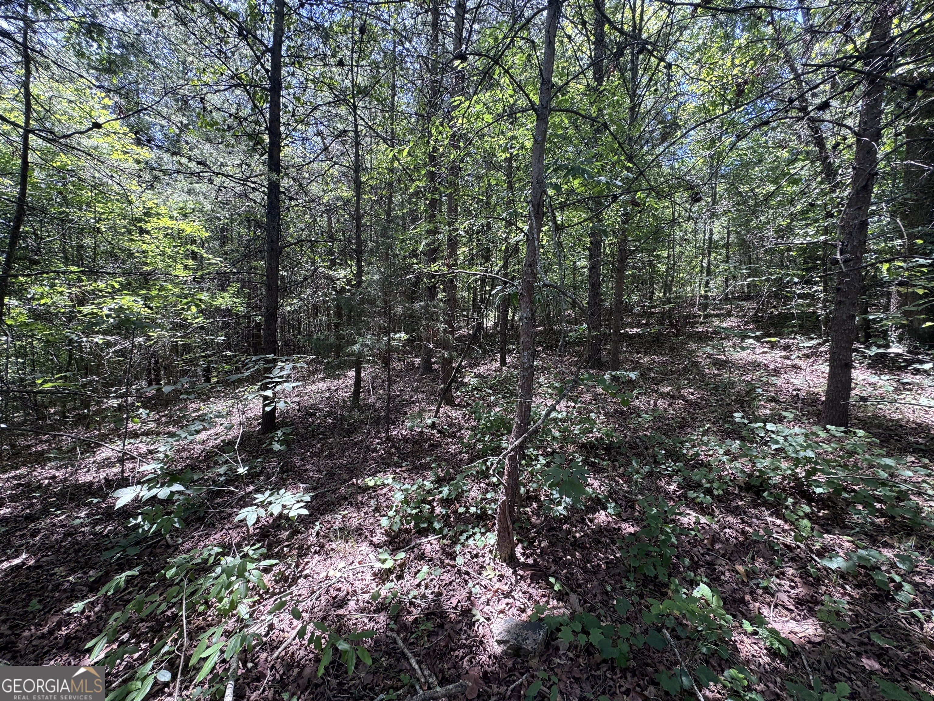 0 Sunshine Ridge Property Photo 3