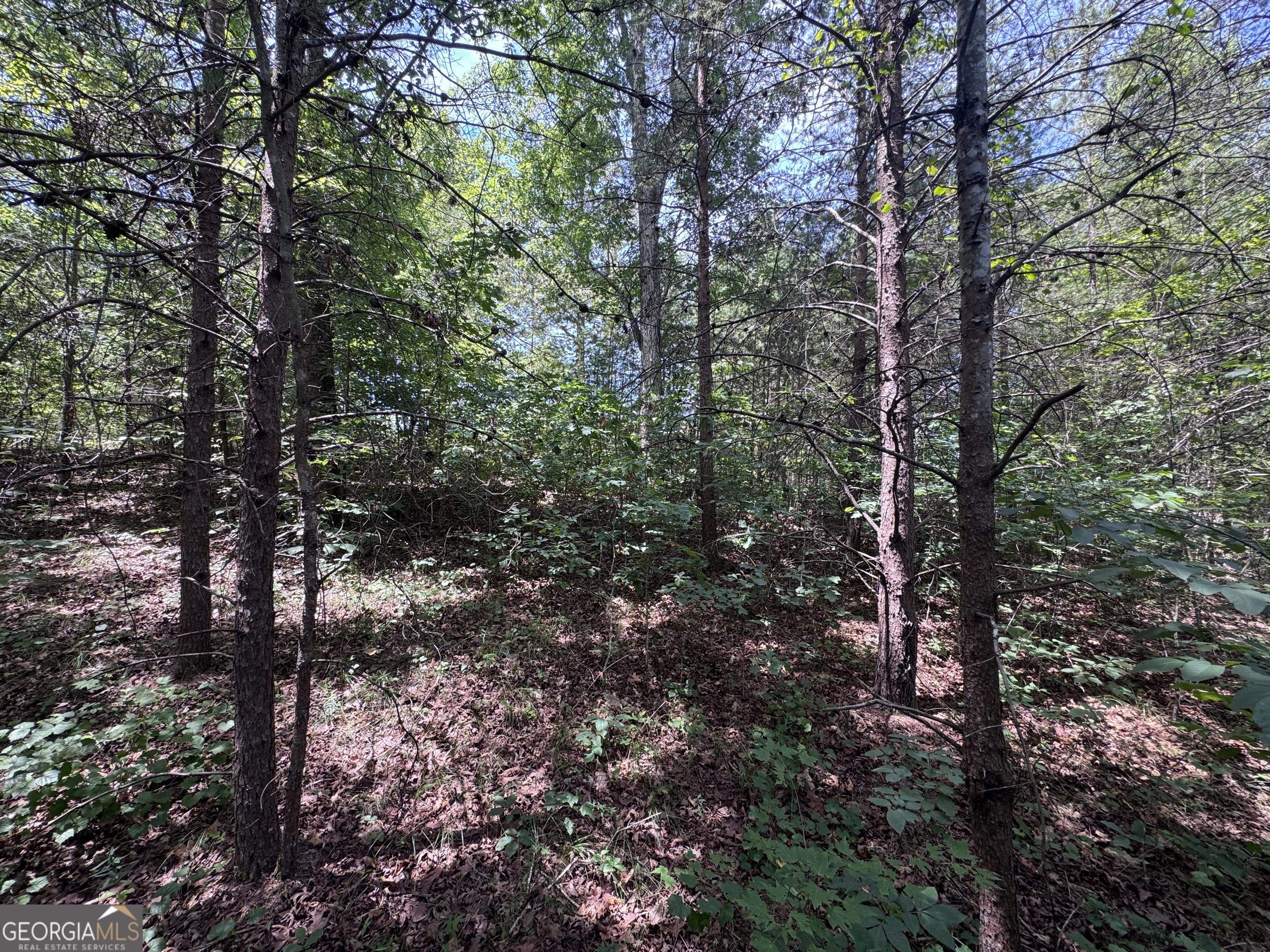 0 Sunshine Ridge Property Photo 4