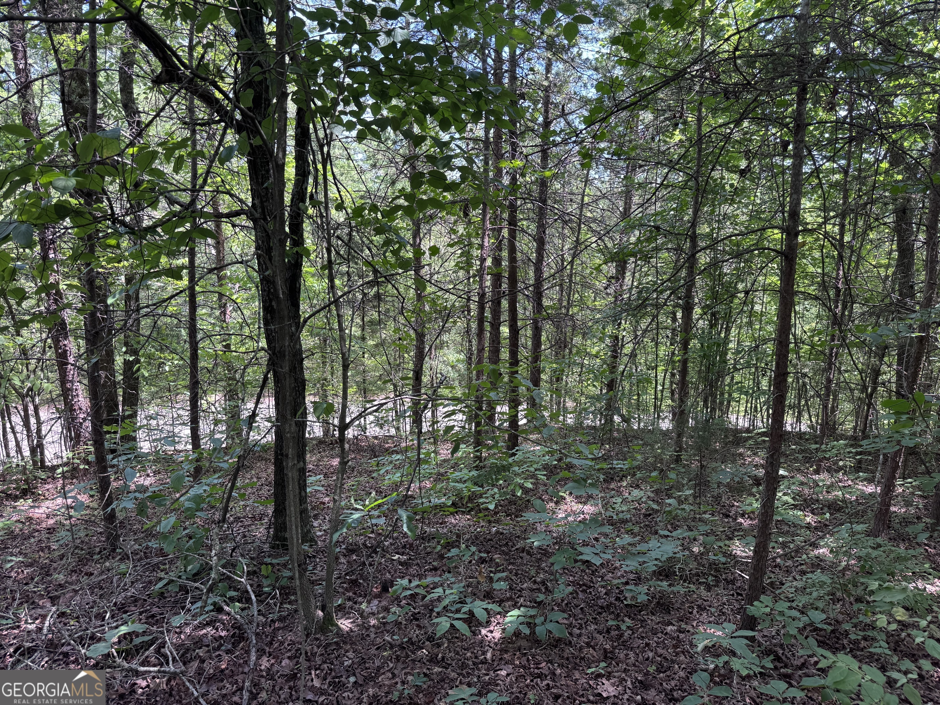 0 Sunshine Ridge Property Photo 5
