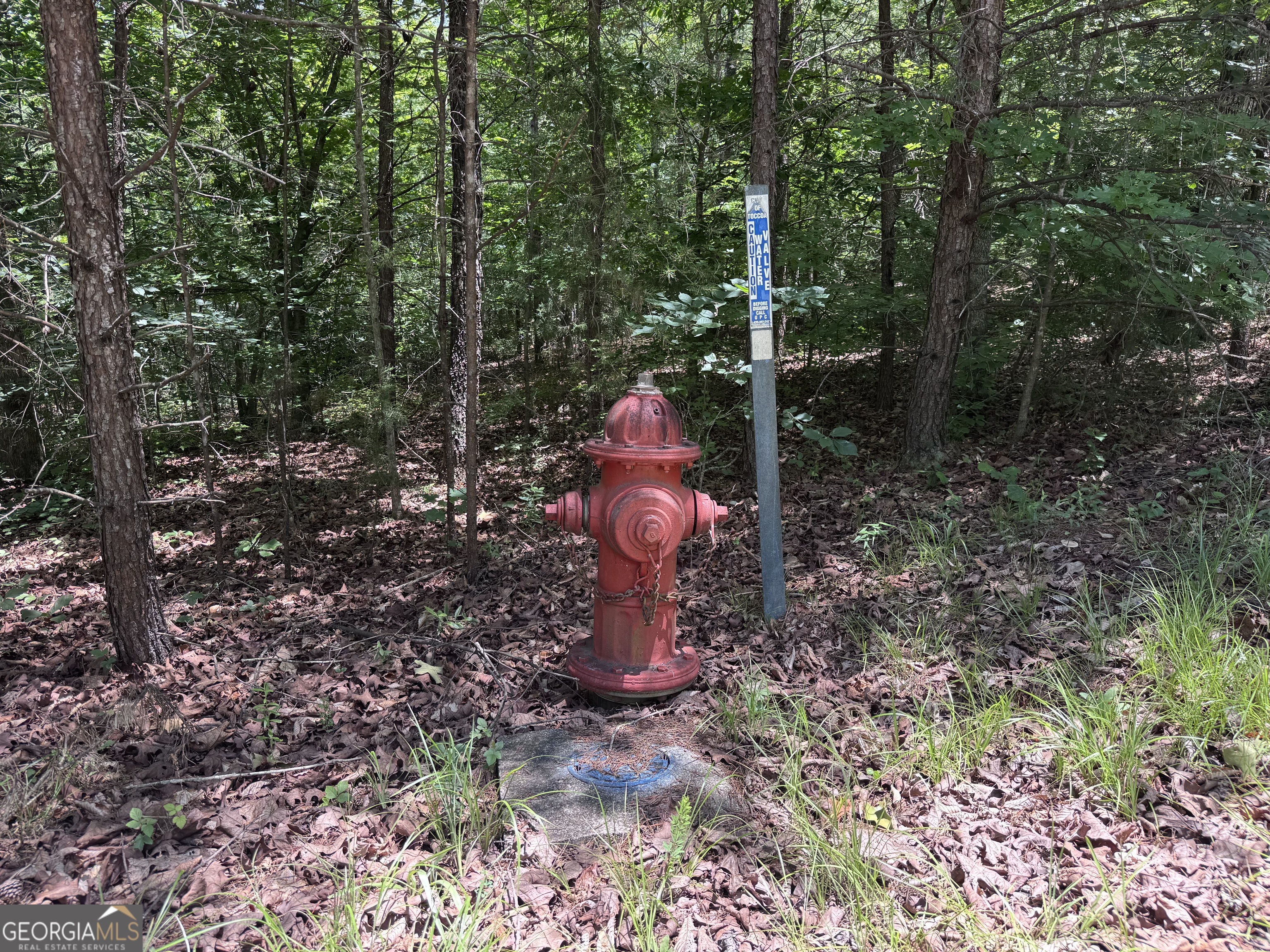 0 Sunshine Ridge Property Photo 6