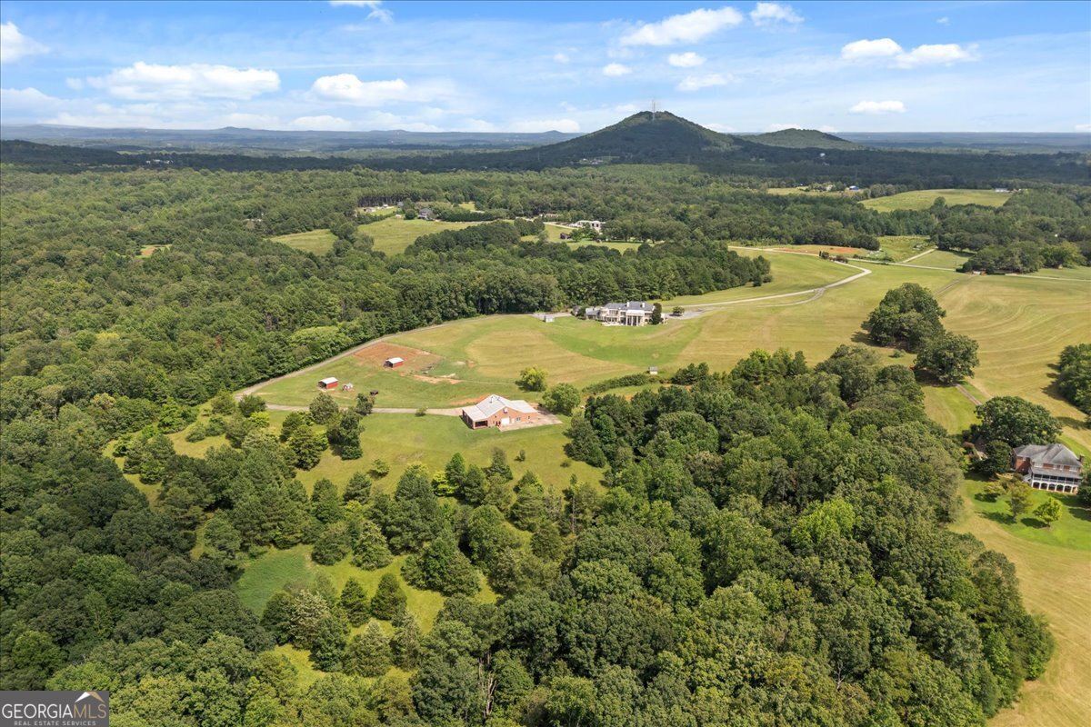 2956 Walhalla Hwy Property Photo 19