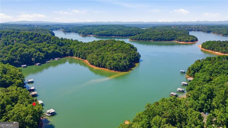 5720 Chestatee Landing Drive Property Photo 7
