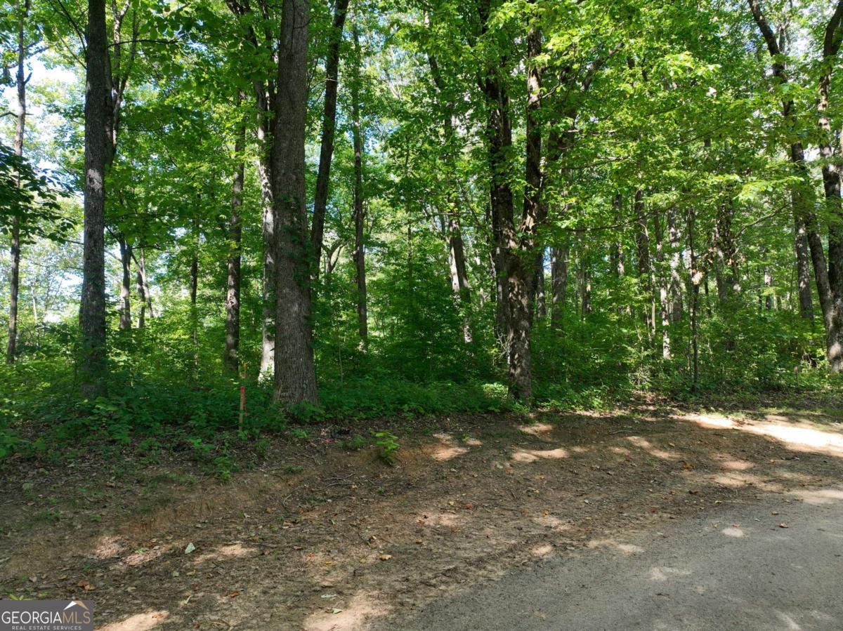 31 Highline Drive Property Photo 2