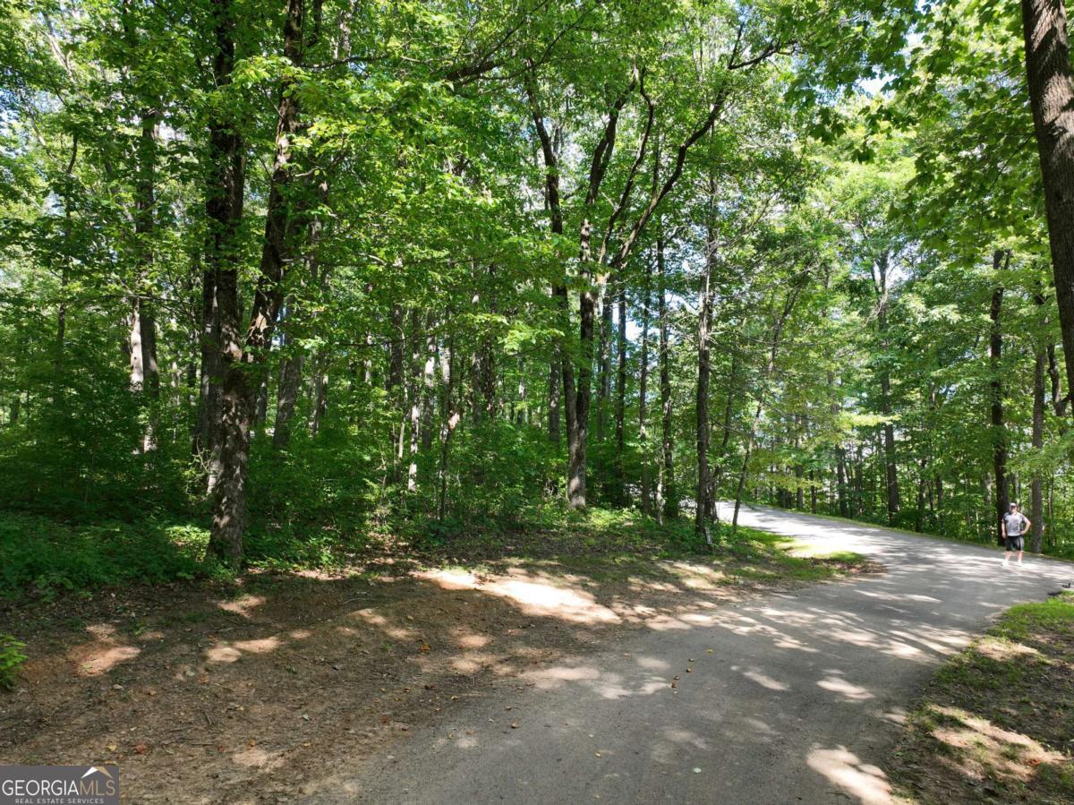 31 Highline Drive Property Photo 18