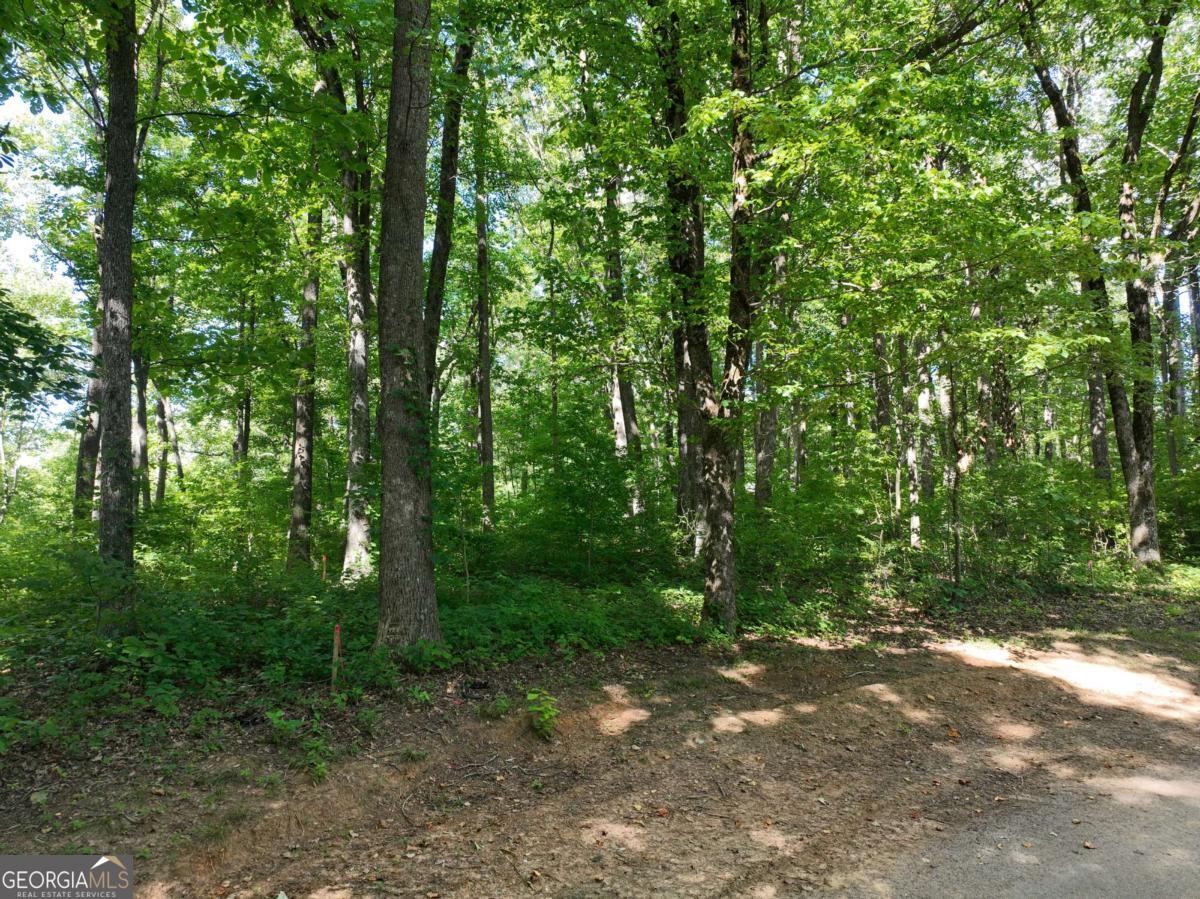 31 Highline Drive Property Photo 19