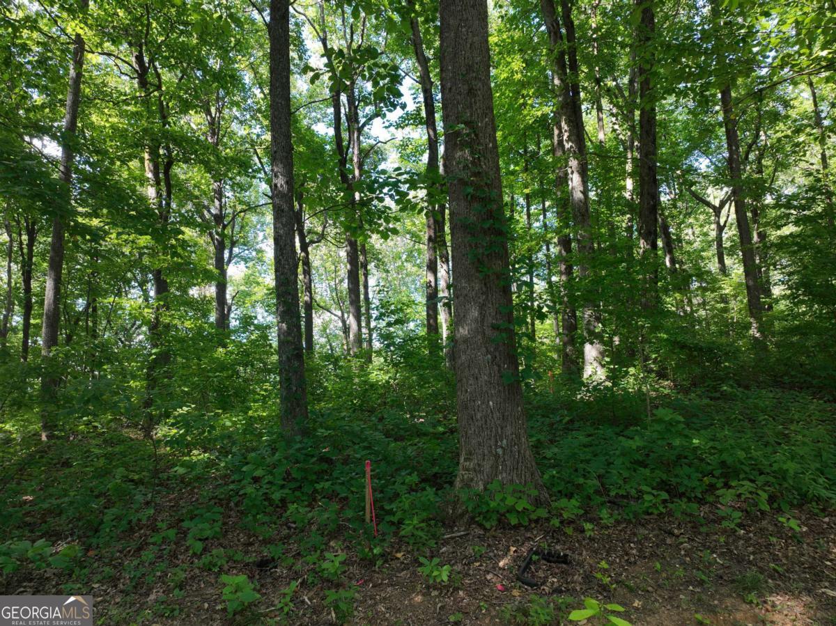 31 Highline Drive Property Photo 28