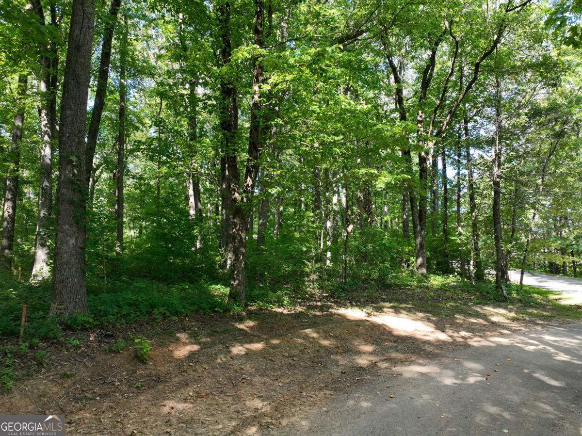 31 Highline Drive Property Photo 29