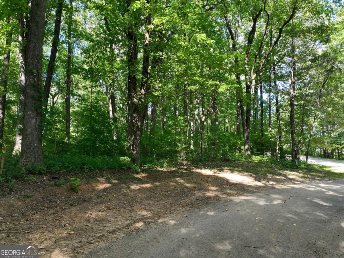 31 Highline Drive Property Photo 32