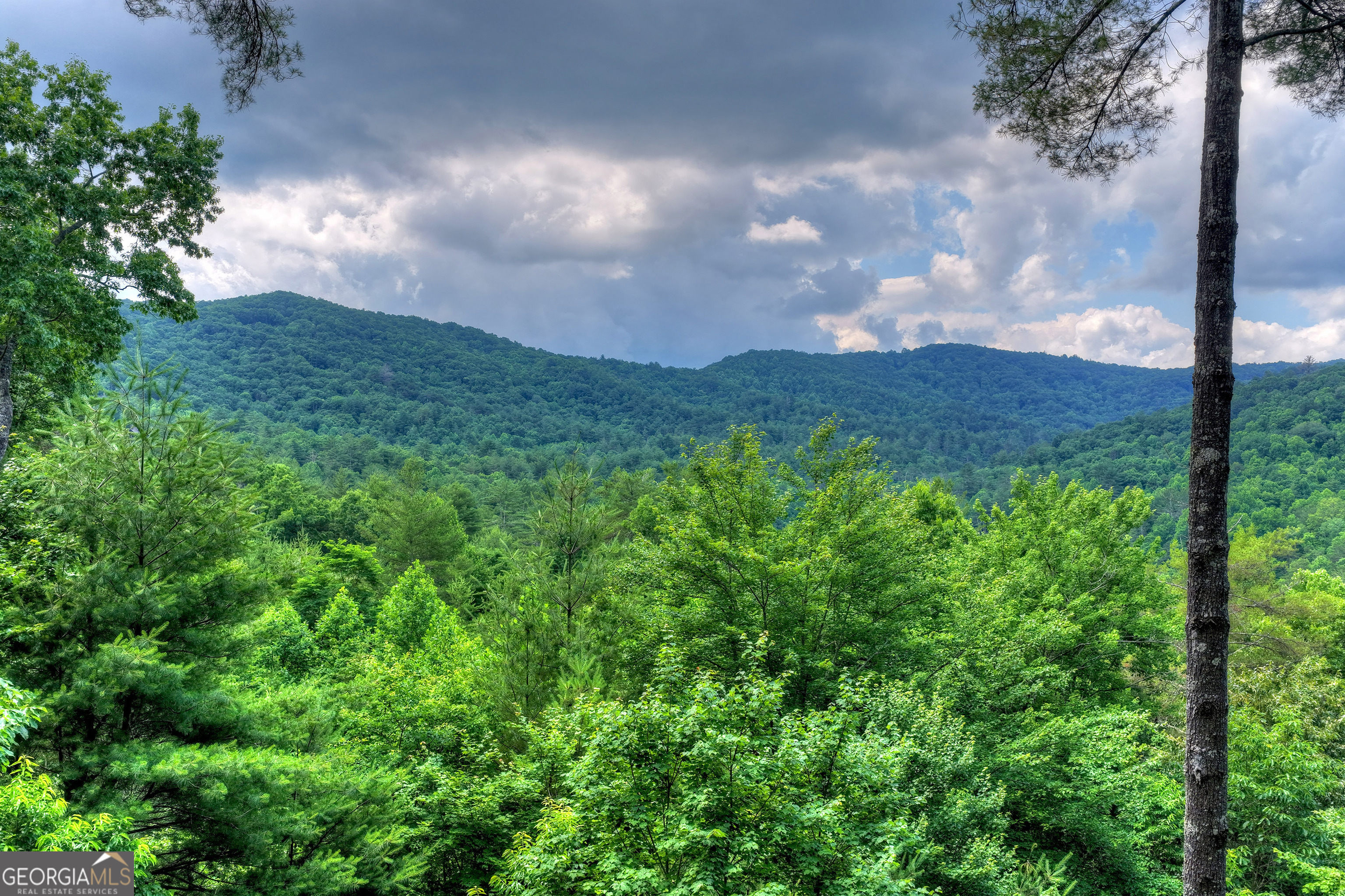 255 Indian Ridge Road Property Photo 2