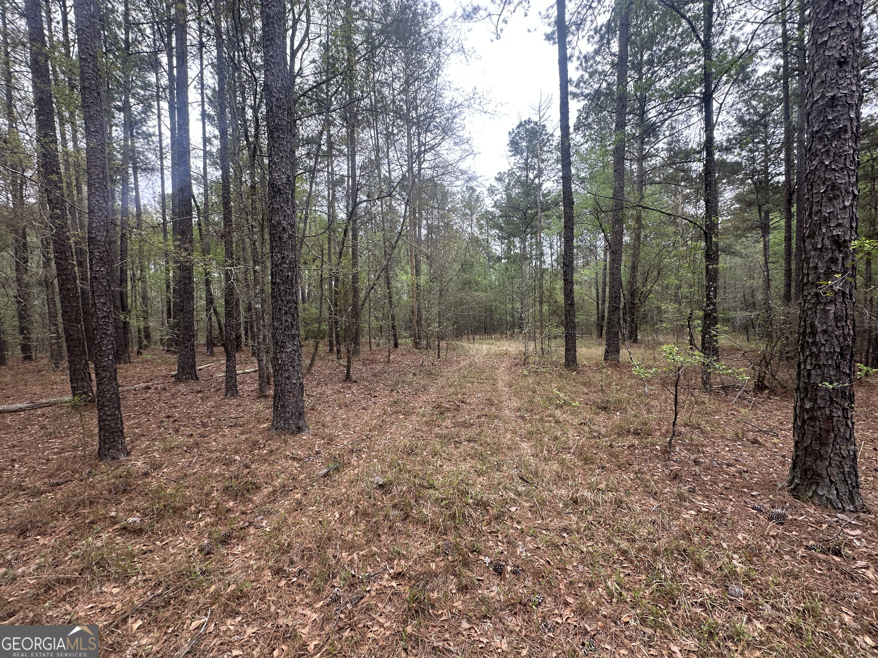 0 Fred Chance Road Property Photo 1