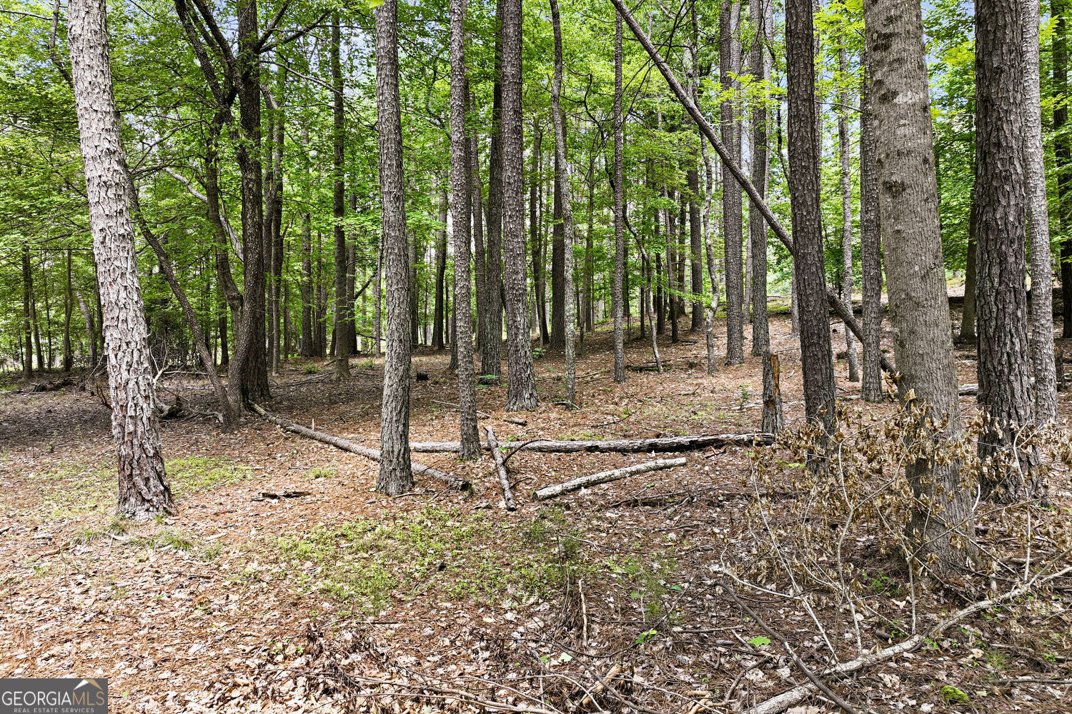3735 Smithtown Road Property Photo 18
