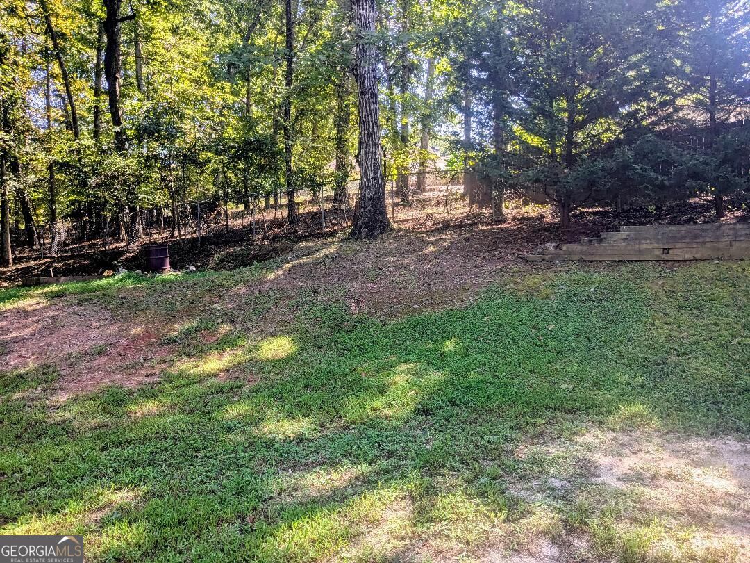 35 Paces Landing Lane Property Photo 22