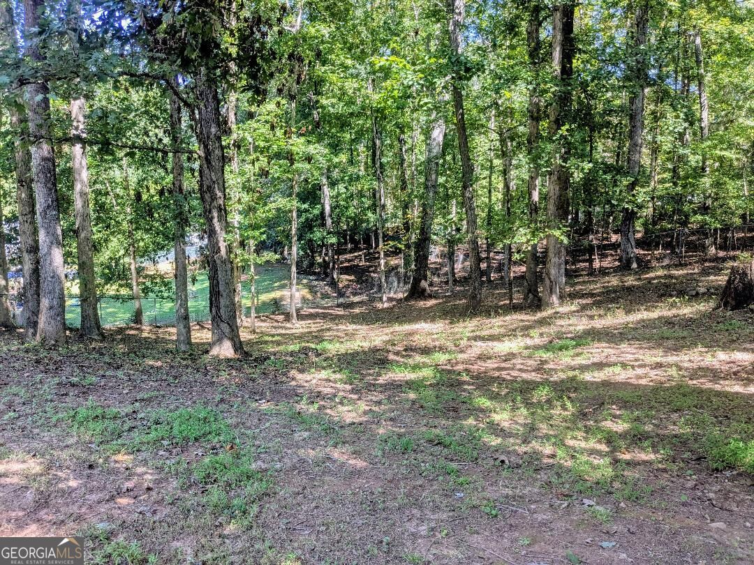35 Paces Landing Lane Property Photo 23