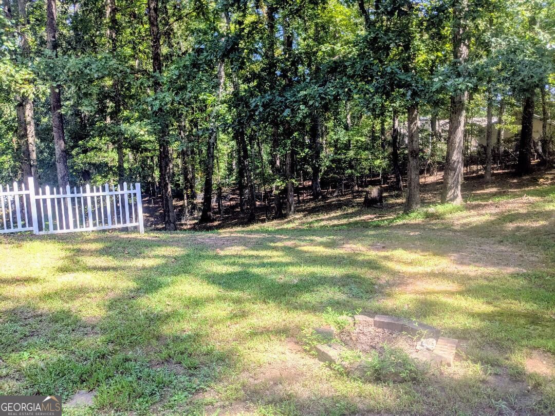 35 Paces Landing Lane Property Photo 24