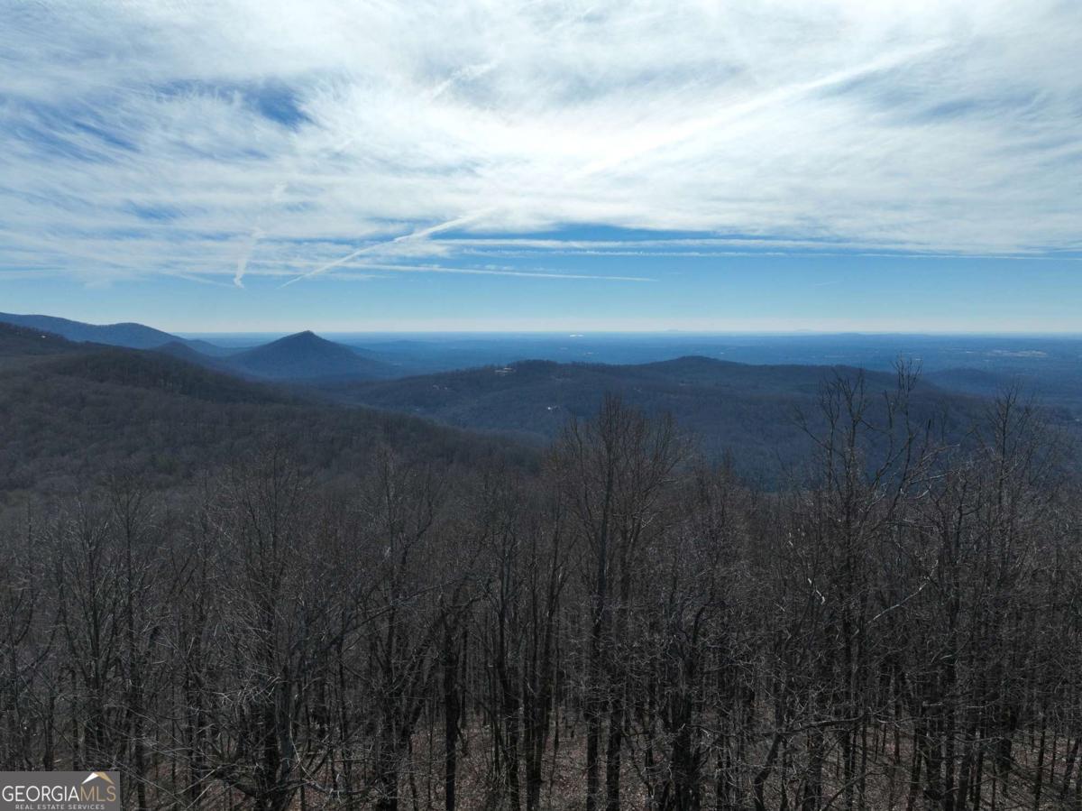 256 Blood Root Trail Property Photo 1