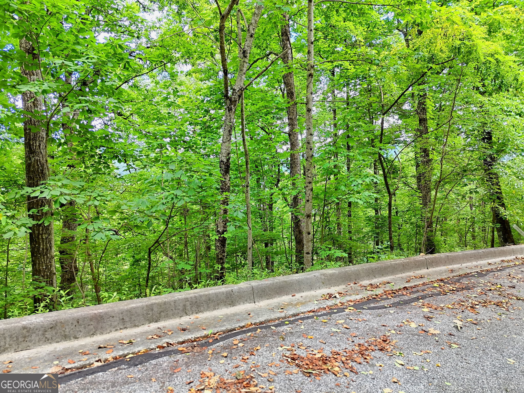0 High Pointe Drive Property Photo 3