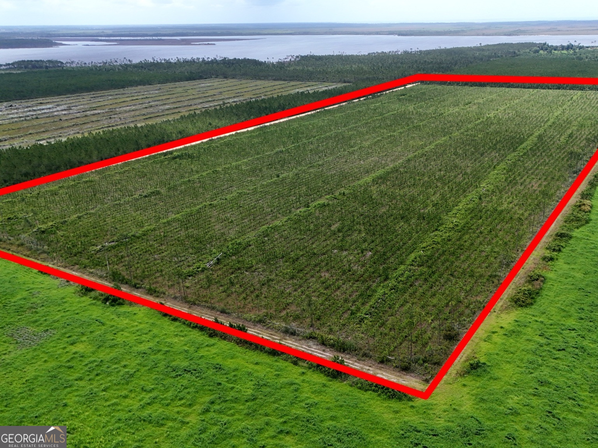 32 Acres Allanton Road Property Photo 1