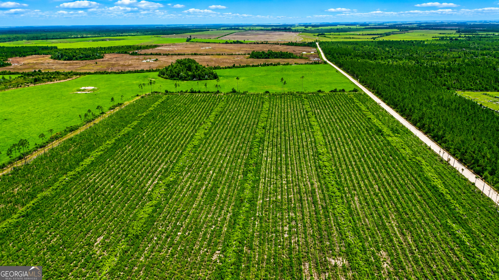 32 Acres Allanton Road Property Photo 4