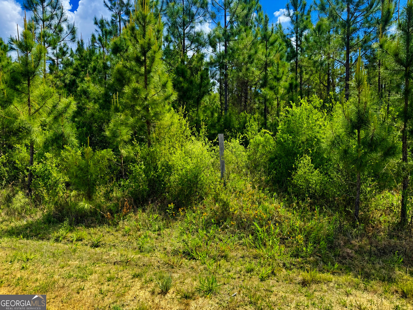 10.6 Acres Allanton Road Property Photo 12
