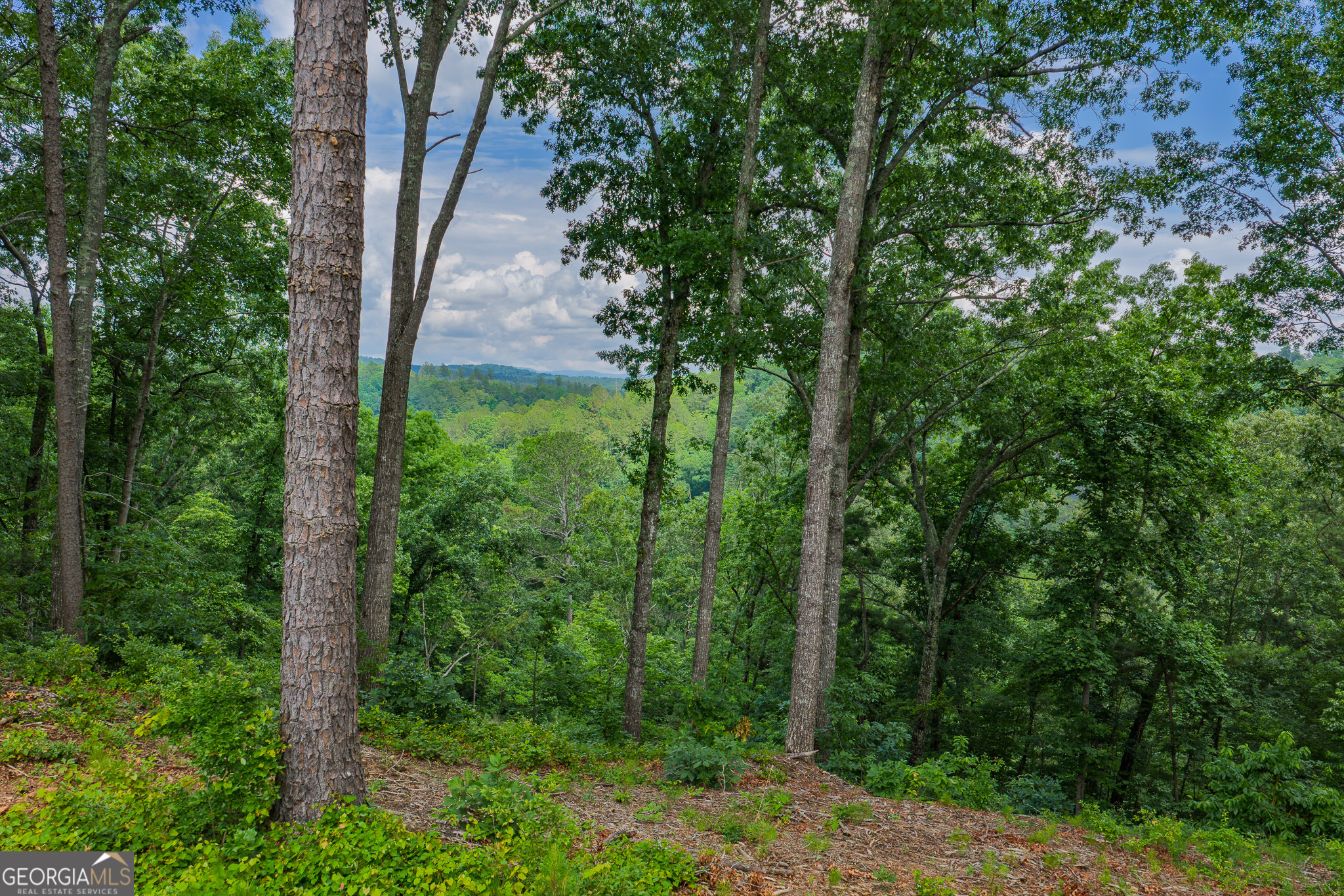 LOT 295A Pebble Trace Property Photo 1