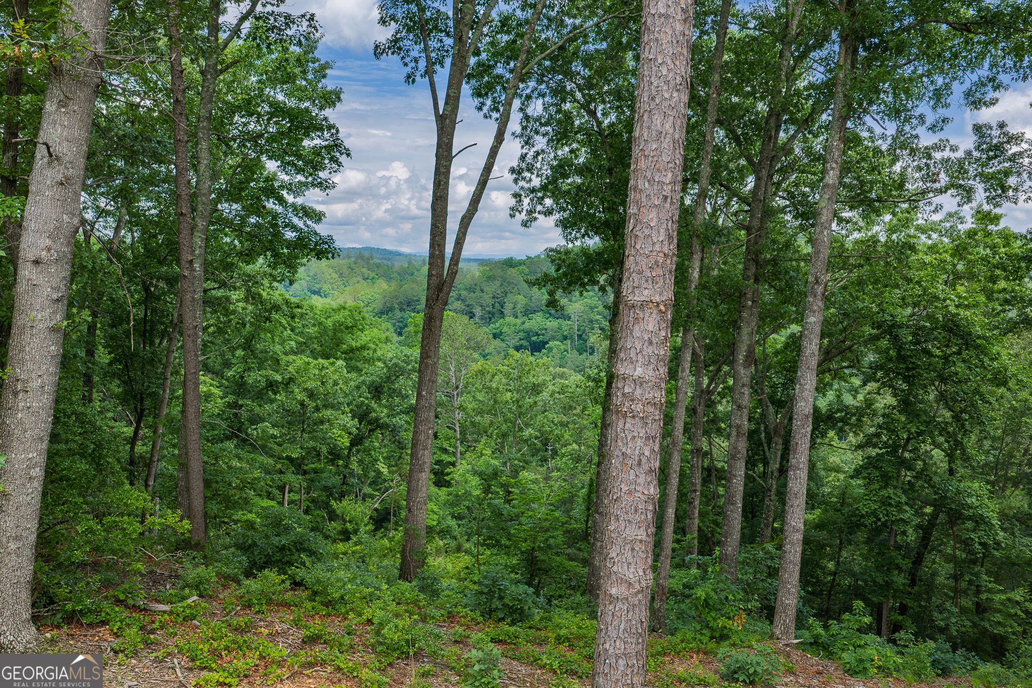 Lot 295a Pebble Trace Property Photo 2