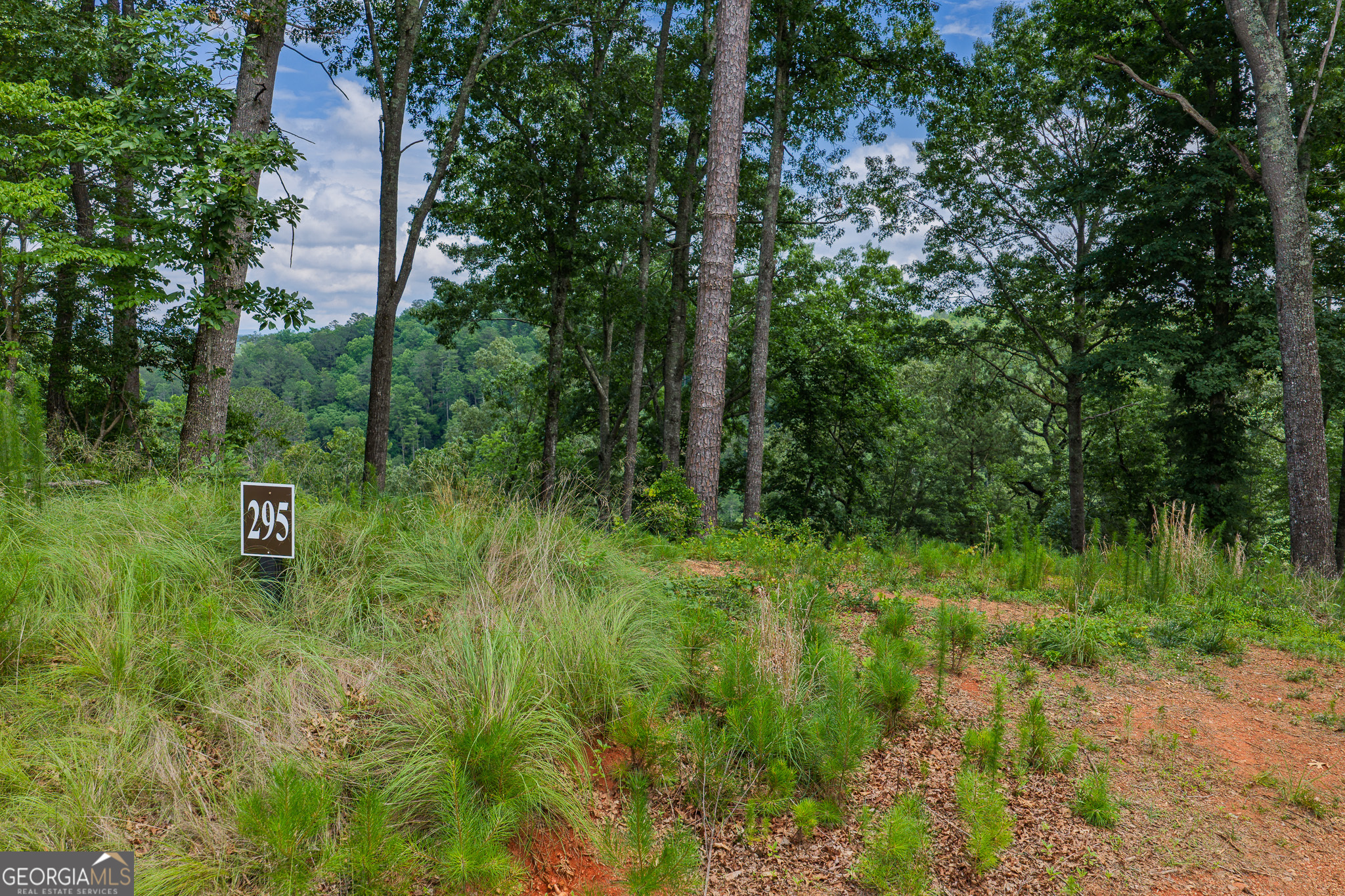 Lot 295a Pebble Trace Property Photo 3