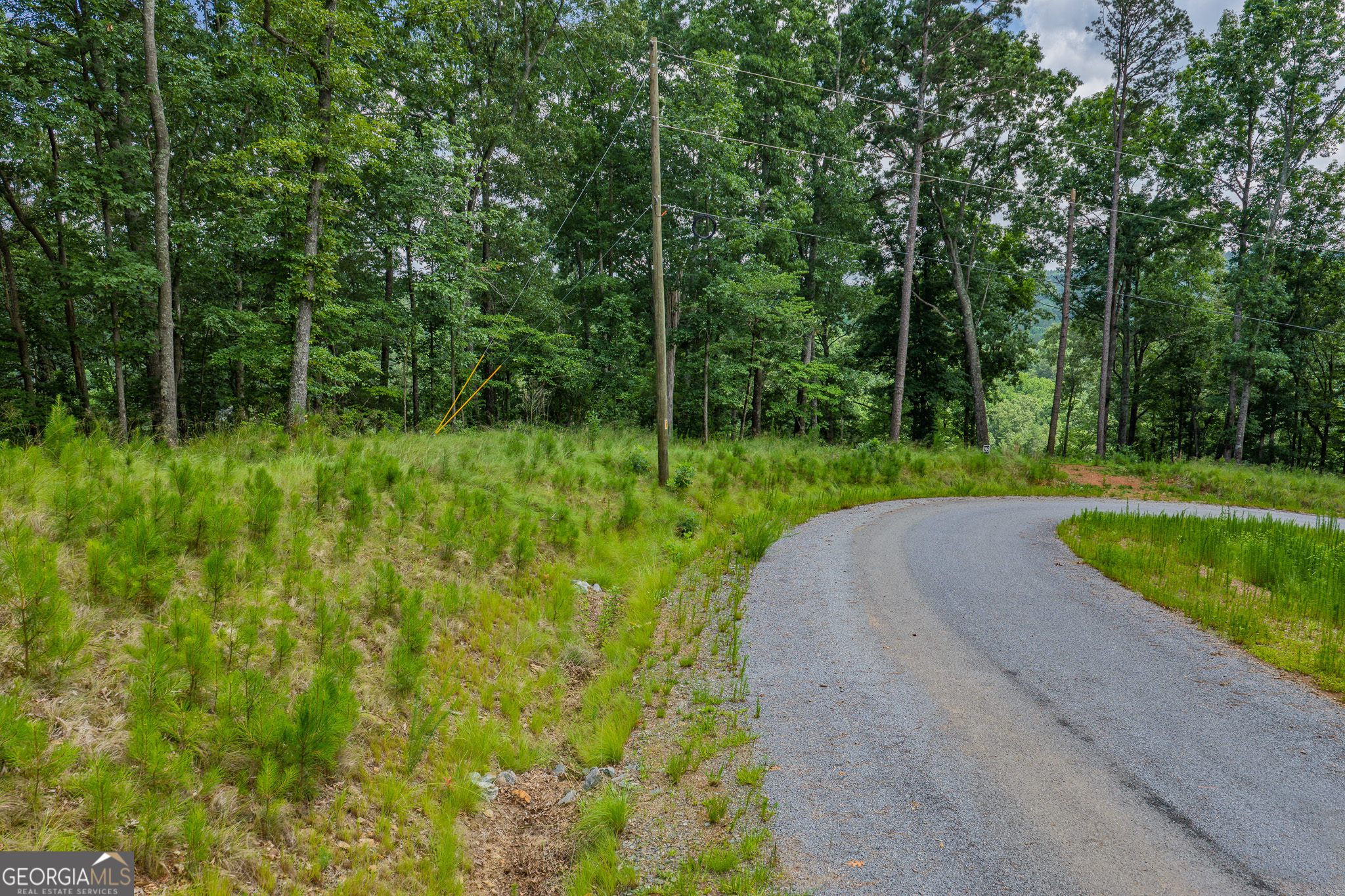 Lot 295a Pebble Trace Property Photo 4
